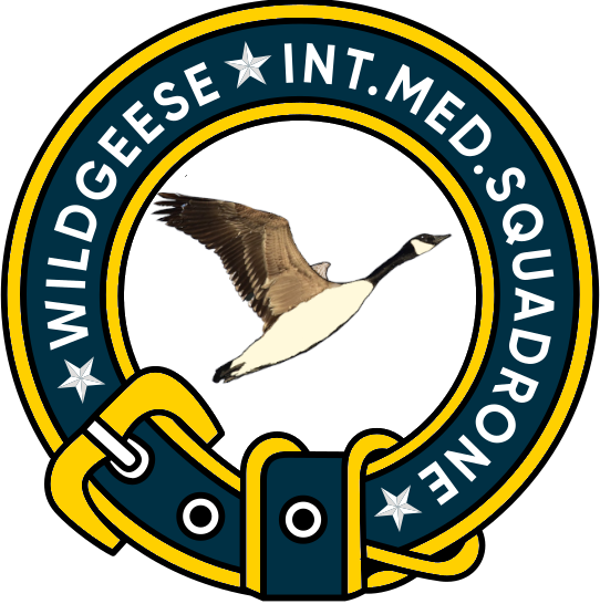 Wildgeese logo